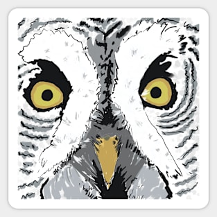 Eyes of a White Owl Sticker